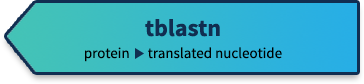 Protein query->Translated Nucleotide database