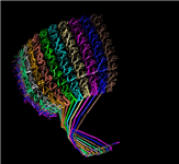 First of three PDB split files for the rat liver vault, showing the 3D view for the portion of the structure that is in PDB record 2ZUO.