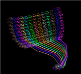 Last of three PDB split files for the rat liver vault, showing the 3D view for the portion of the structure that is in PDB record 2ZV5.