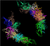 Last of three PDB split files for the viral capsid Aav-6, showing the 3D view for the portion of the structure that is in PDB record 3TSX.