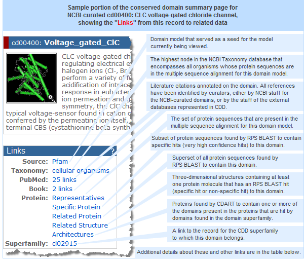 Example of links to related data that appear on the display of an individual conserved domain record. Click on the image to open the live conserved domain summary page for the example shown here, the NCBI-curated domain cd00400: Voltage_gated_ClC.