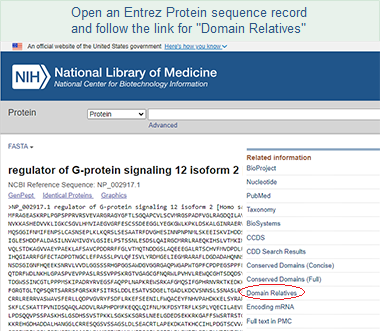 Illustration of a sample protein sequence record (regulator of G-protein signaling 12 isoform 2, NP_002917) from the Entrez Protein database, where you can follow the link for Domain Relatives to view a list of proteins with similar domain architectures. Click on this graphic to read more about the various links that exist from a protein record to conserved domains.