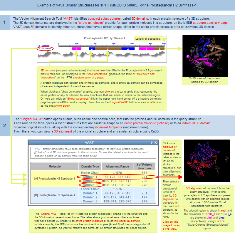 Illustration of the compact substructures, called 3D domains, in the structure for 1PTH, sheep prostaglandin H2 synthase, and the list of Similar Structures that have a similar shape to the whole protein molecule or to any 3D domain within it. Click anywhere on this image to open an interactive view of the 3D alignment of protein A, domain 1, in 1PTH and a sample similar structure, 1EQG (Ovine Cox-1 Complexed With Ibuprofen). Install Cn3D before clicking, if that program is not yet on your computer.