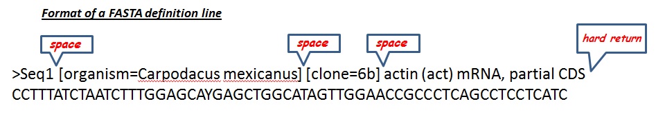 Format of a FASTA definition line showing placement of spaces and hard returns