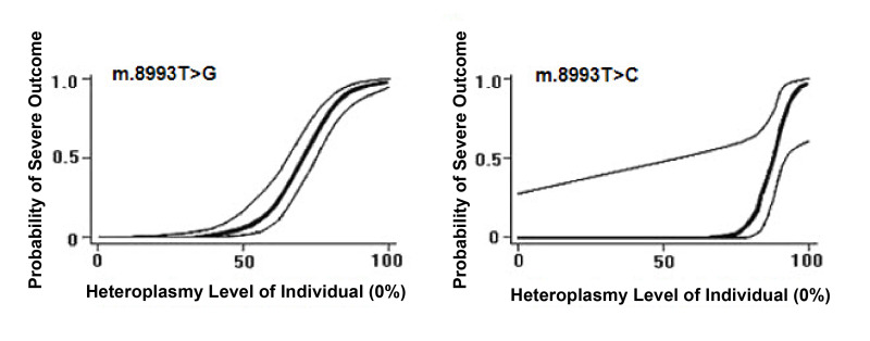 Figure 1. . Estimated probability of a severe outcome (95% CI) for an individual with MT-ATP6 pathogenic variants m.