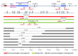 Figure 6. . Recurrent and non-recurrent rearrangements in IP locus.