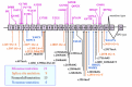 Figure 2. . Pathogenic variants (mutations) characterized in individuals with aceruloplasminemia and their family members.