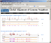 Figure 2. . Global alignment of genome neighbors with the RefSeq of Rice grassy stunt virus (NC_002323 and NC_002324).