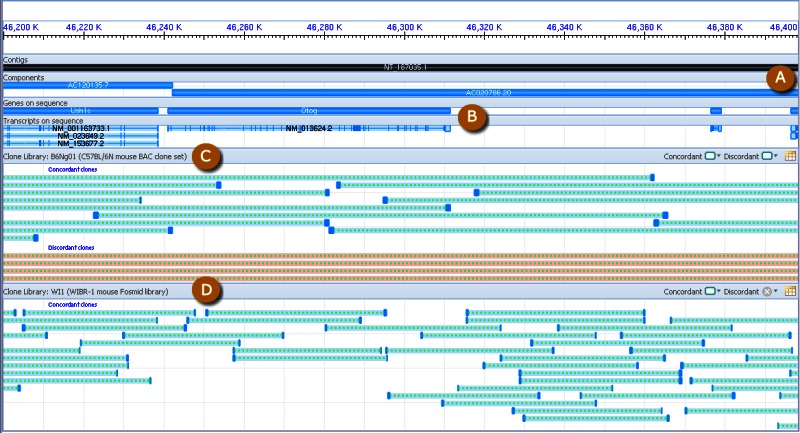 Figure 12. . Screenshot of Clone Finder graphical display.