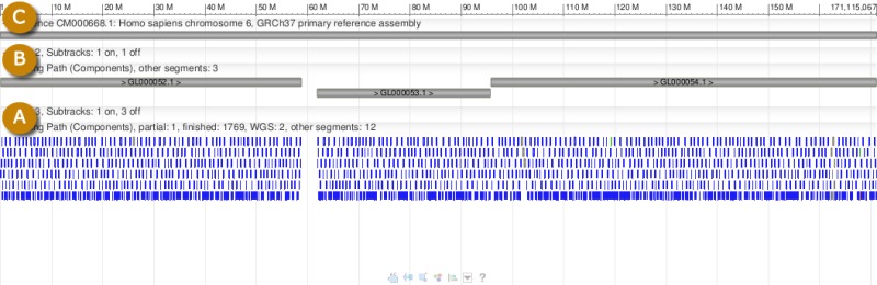 Figure 2. . Sequence hierarchy in human chromosome 6 (CM000668.