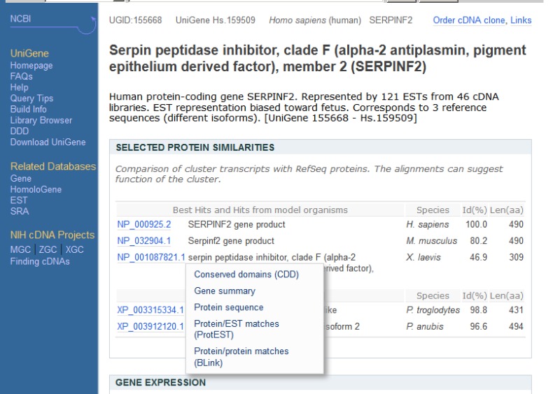 Figure 3. . Popup menu in UniGene cluster browser providing links to information about proteins similar to the transcript sequences in the cluster.