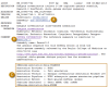 Figure 5. . Typical RefSeq record for a scaffold annotated by the Eukaryotic Genome Annotation Pipeline.