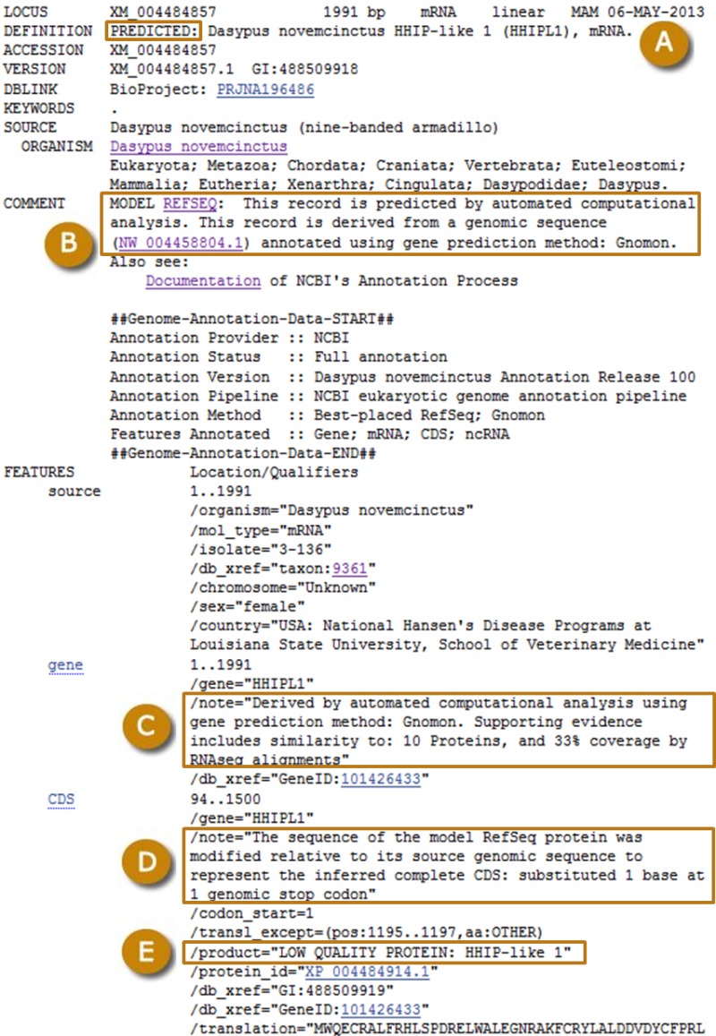 Figure 6. . Example of a RefSeq record for a transcript model predicted by Gnomon.