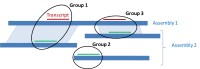 Figure 8. . Ranking of alignments across multiple assemblies.