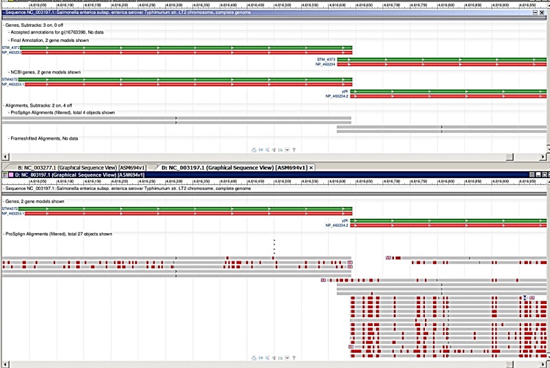 Figure 3. . Two-pass protein alignment process produces improved gene model.