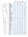 Figure 3. . Distribution in nature of species of the genus Enterococcus.