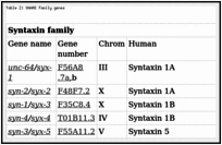 Table 2: SNARE family genes.