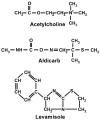 Figure 2. The structures of acetylcholine, aldicarb, and levamisole.