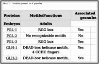 Table 1. Proteins present in P granules.