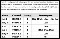 Table 1. C. elegans cuticle collagen genes that have associated phenotypes. Cosmid clone associated with the collagens genes are depicted. Groups 1, 2, 3, dpy-7 and dpy-2 refer to the structurally related collagen families based on position of conserved cysteines and Gly-X-Y interruptions (Johnstone 2000). Phenotype listed have been describe for one or more alleles of the listed genes. Dpy, Dumpy; RRol, Right-handed roller; LRol, Left-handed Roller; Lon, long; Dom, dominant; Bli, blister; wDpy, weak Dumpy; DLRol, Dumpy Left-handed roller; Ram, Ray abnormal.