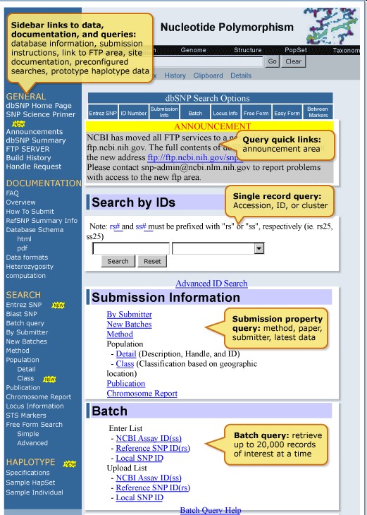 Figure 2a