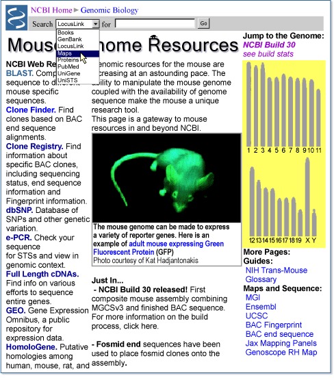 Figure 5. Example of a genome-specific resource page supporting queries to Map Viewer.