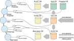 Figure 5. Constellation of NCBI gene expression resources.