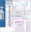 Figure 5. Use of ModelMaker to test alternative cDNA XSmodels based on GenomeScan predictions of mRNA alignments.