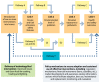 Figure A5.1. Causal chain relating household energy technology, fuel and other interventions to health and safety outcomes via intermediate links.