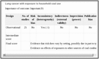 Lung cancer with exposure to household coal use.