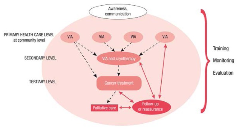 Figure 2.4. Example of organization of screening, referral and treatment services.