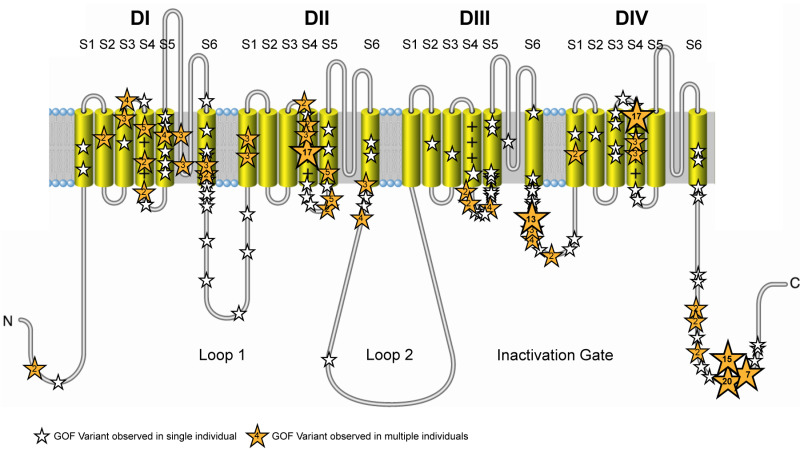 Figure 2. . Positions of SCN8A missense pathogenic variants in the sodium channel protein type 8 subunit alpha (Nav1.