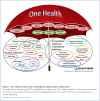 Figure 1.. One Health Initiative: the interdisciplinary global health collaboration.