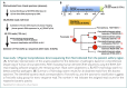 Case study 1 (Figure). Comprehensive direct sequencing from fluid collected from the patient's axillary region.