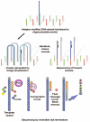 Figure 4.. Illumina Genome Analyzer sequencing, the first of the Illumina platforms to be commercially launched.