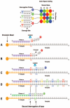 Figure 5.. Applied Biosystems (Life Technologies) SOLiD sequencing by ligation.