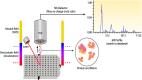 Figure 6A.. General schematic for MS analysis of ionized microbiological isolates and clinical material.