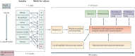 Figure 8.. Hypothetical work flow based on whole genome sequencing.