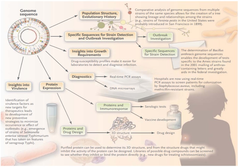 Figure 14.. Use of microbial genomics for tool development.