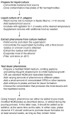 Figure 2. Summary of dauer pheromone protocols.