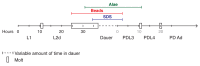 Figure 3. Developmental timeline in the dauer life history.