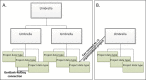 Figure 6. . Schematic diagram of BioProject hierarchies.