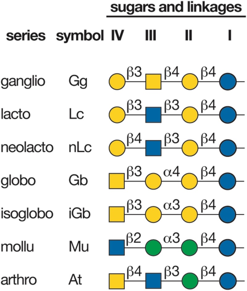 FIGURE 11.2.. Glycosphingolipid (GSL) neutral cores and their designation based on IUPAC (International Union of Pure and Applied Chemistry) Nomenclature.