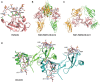 FIGURE 38.3.. Crystal and solution structures of GAG–protein complexes.