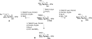 FIGURE 53.2.. Protective group manipulations, which can be carried out in one-pot procedures, toward a series of glucopyranose-derived building blocks for glycan assembly.