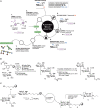 FIGURE 53.4.. (A) Schematic overview of automated glycan assembly.