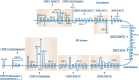 FIGURE 12.3.. Predicted topologies of the ER-resident components of glycosylphosphatidylinositol (GPI) biosynthesis in mammalian cells.