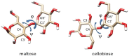 FIGURE 3.2.. Repeating units from cellulose and starch showing conformation and glycosidic torsion angles φ and ψ.