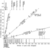 Figure 7.2. The molecular clock.