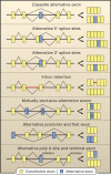 Figure 7.6. Types of alternative splicing.